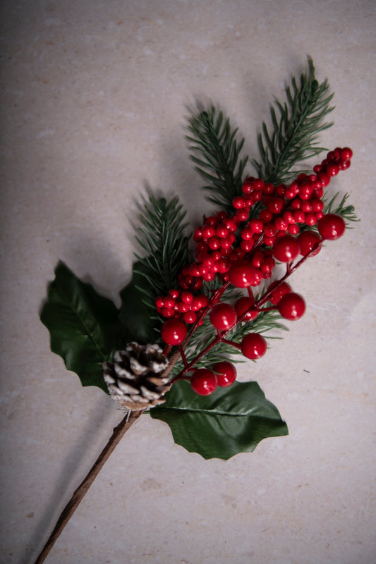 The Hollyberry Spring